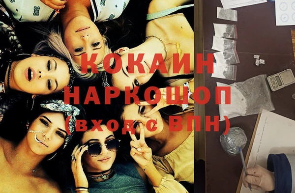 спайс Бородино