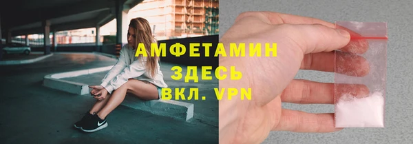 прущие грибы Волосово