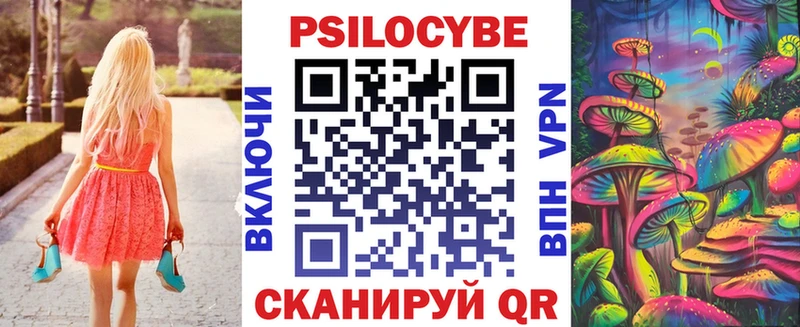 дарк нет наркотические препараты  OMG рабочий сайт  Северск  как найти закладки  Псилоцибиновые грибы GOLDEN TEACHER 